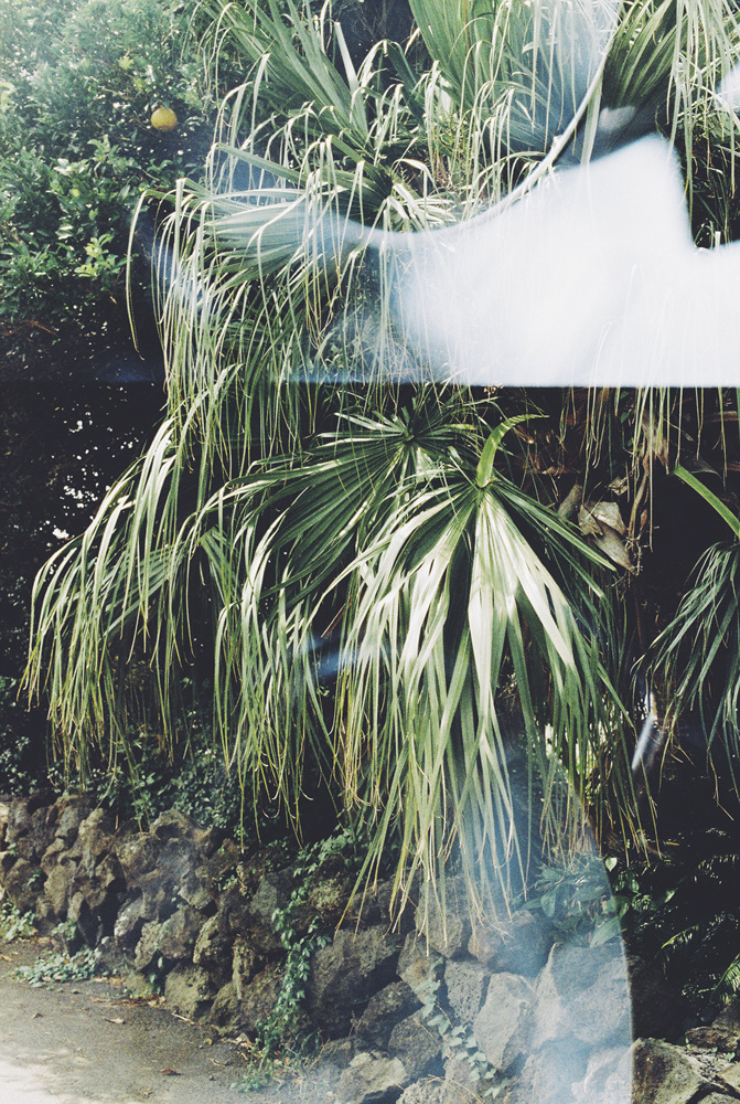 Fragile, 2016-2017 41