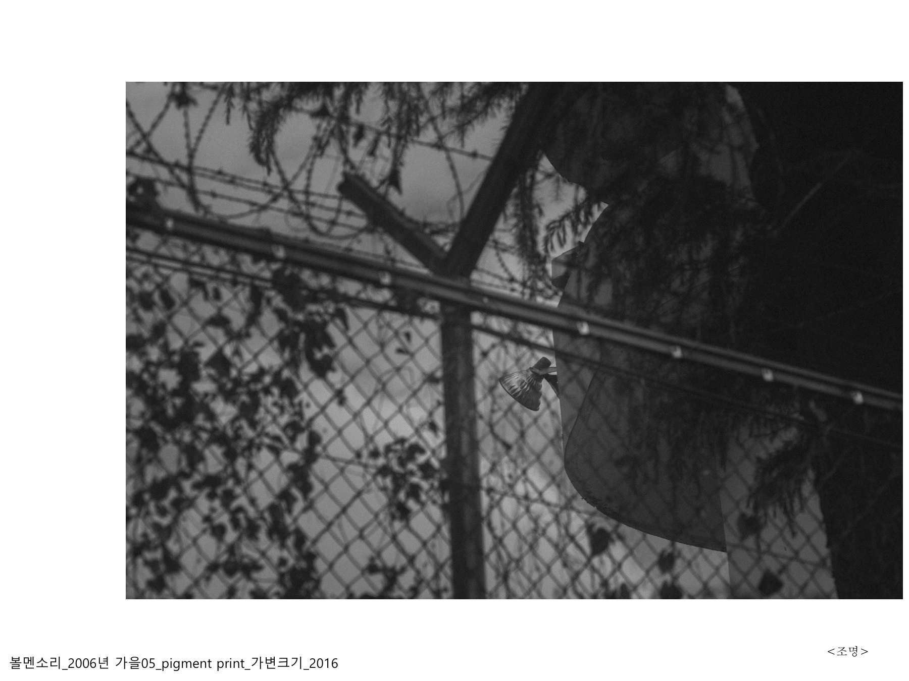 볼멘소리-101