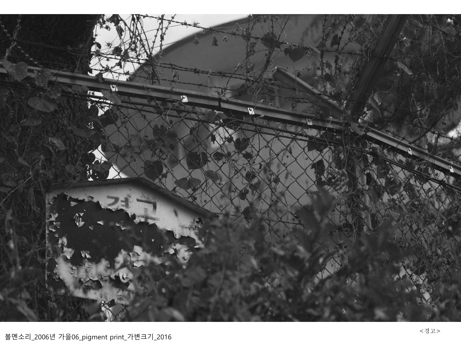 볼멘소리-102