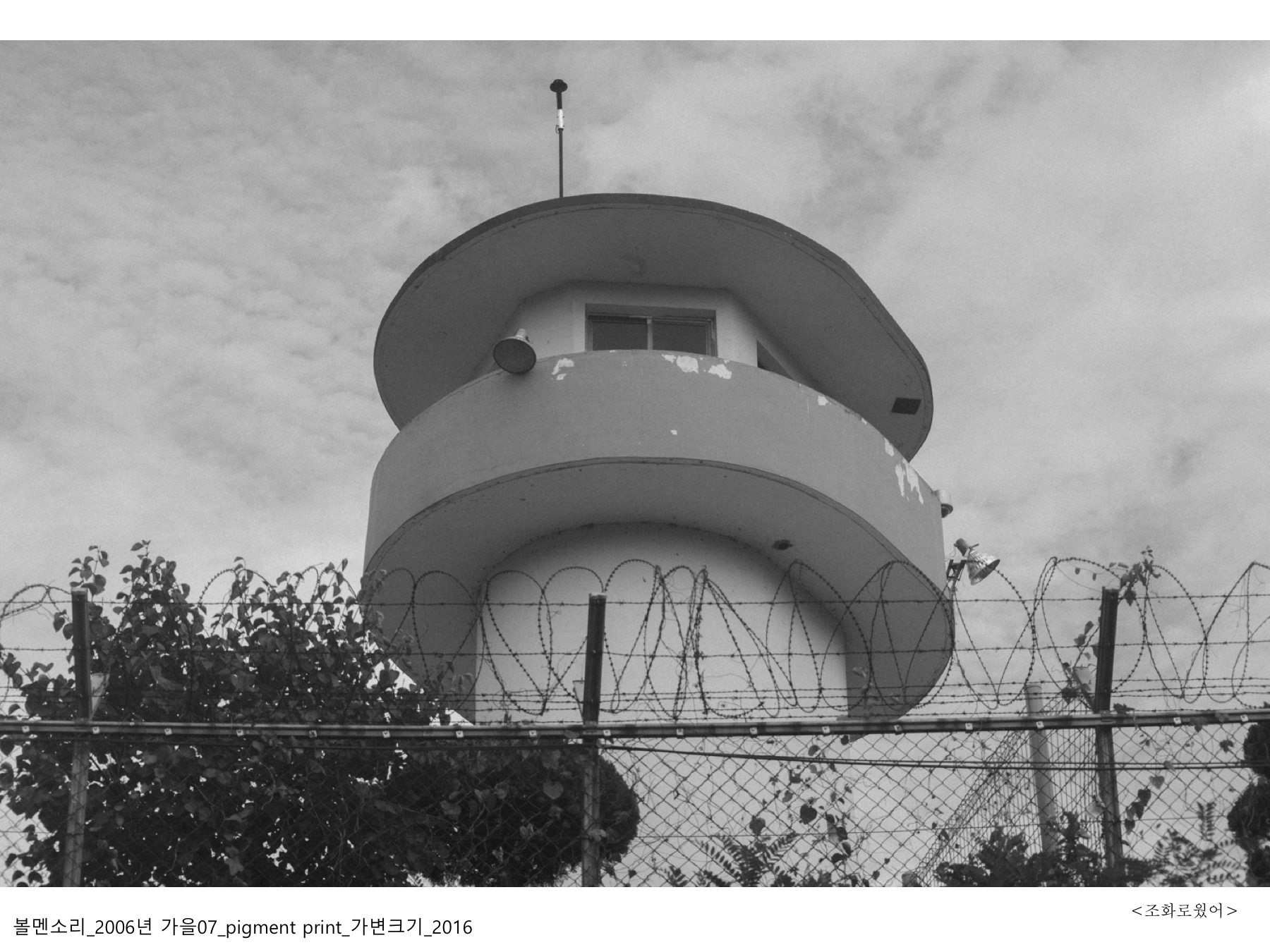 볼멘소리-103