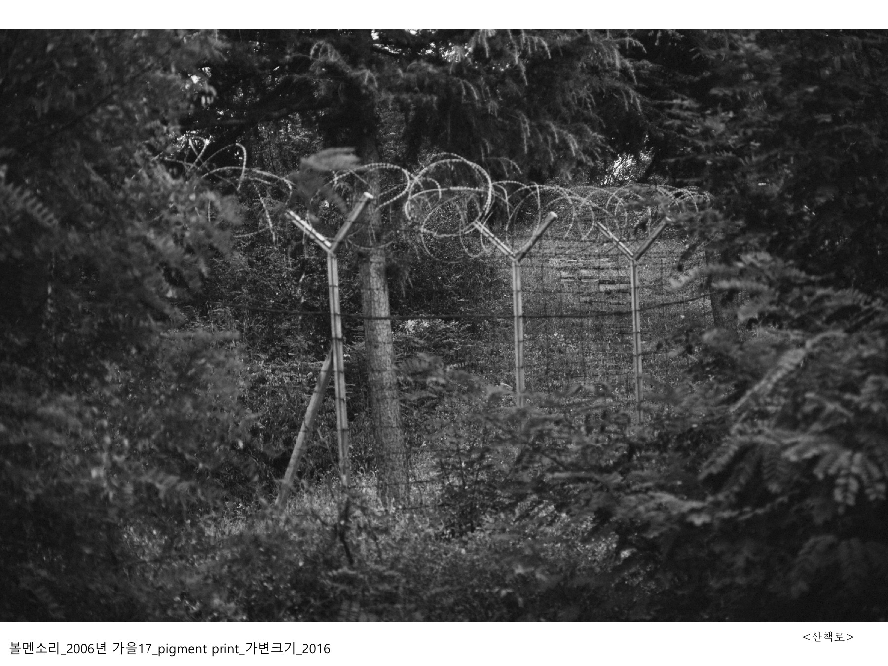 볼멘소리-113