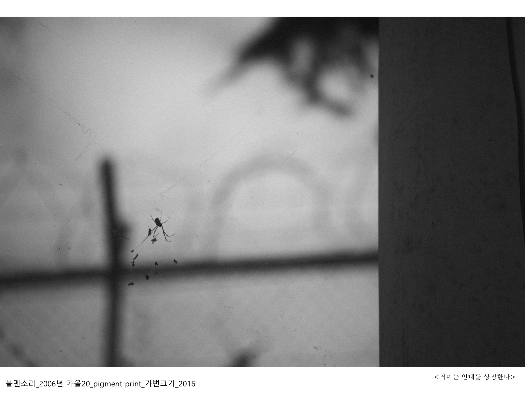 볼멘소리-116