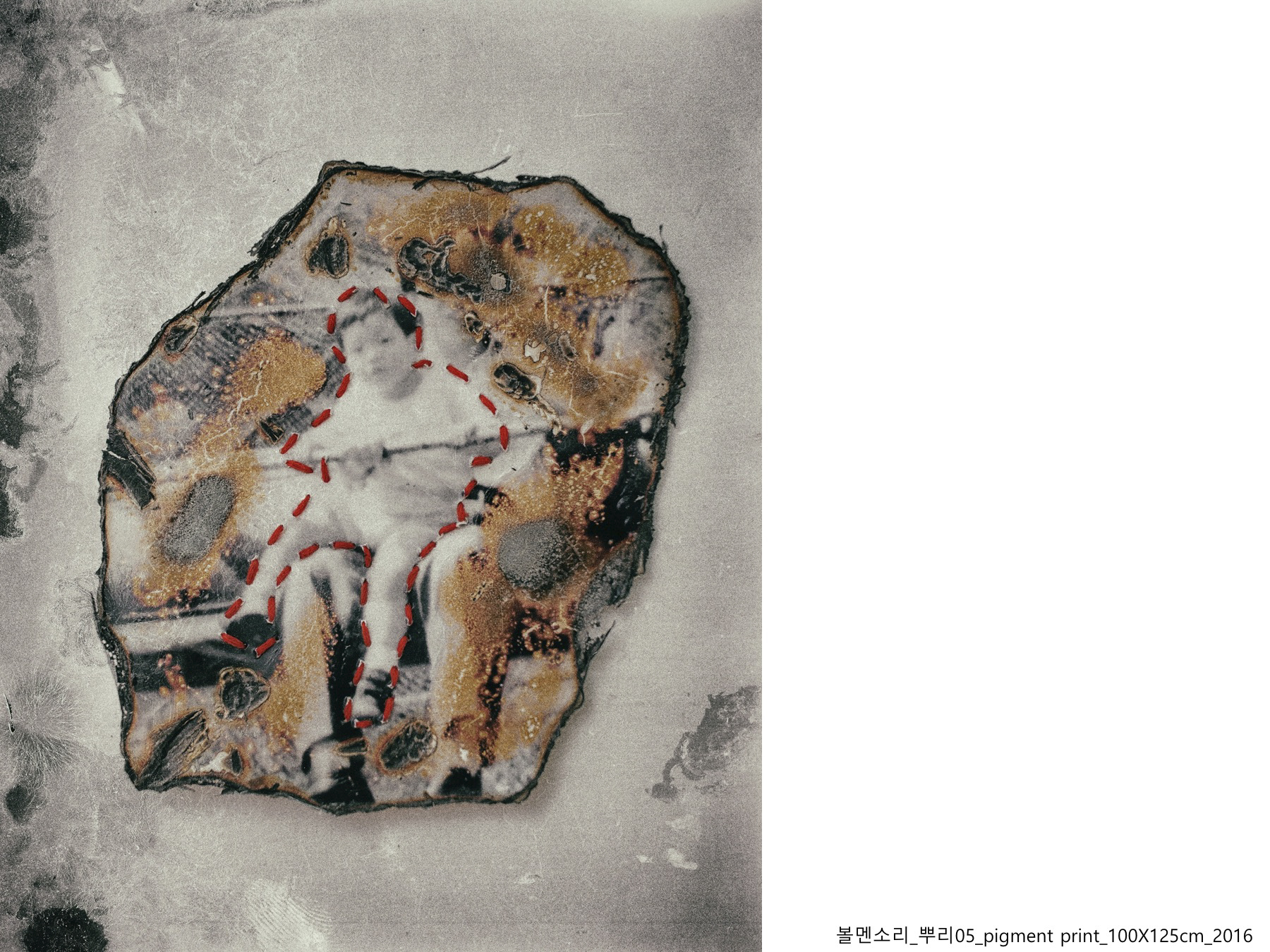 볼멘소리-124