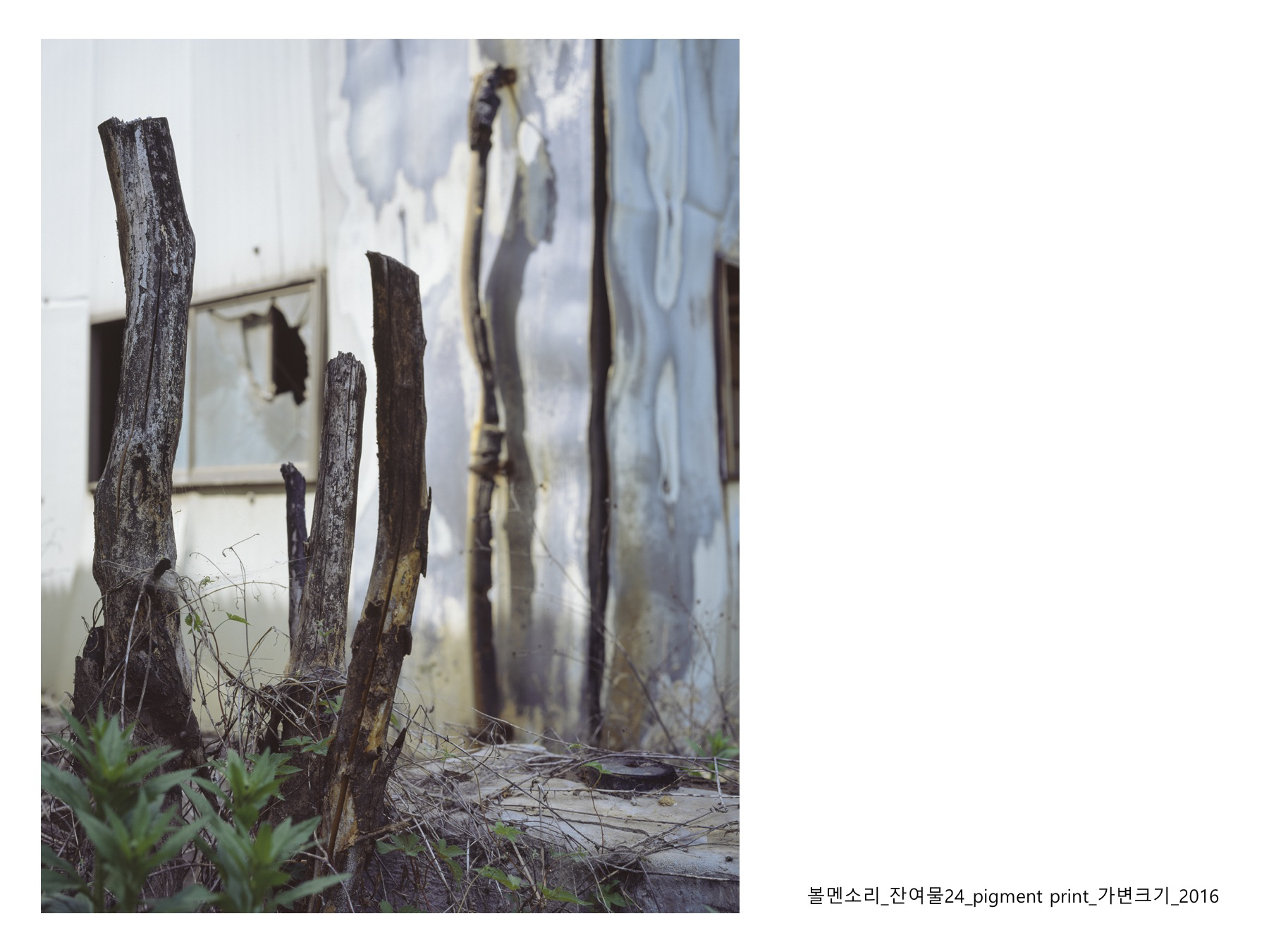 볼멘소리-32