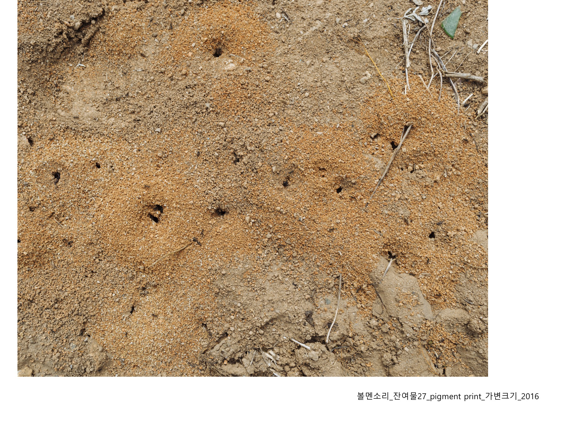 볼멘소리-35