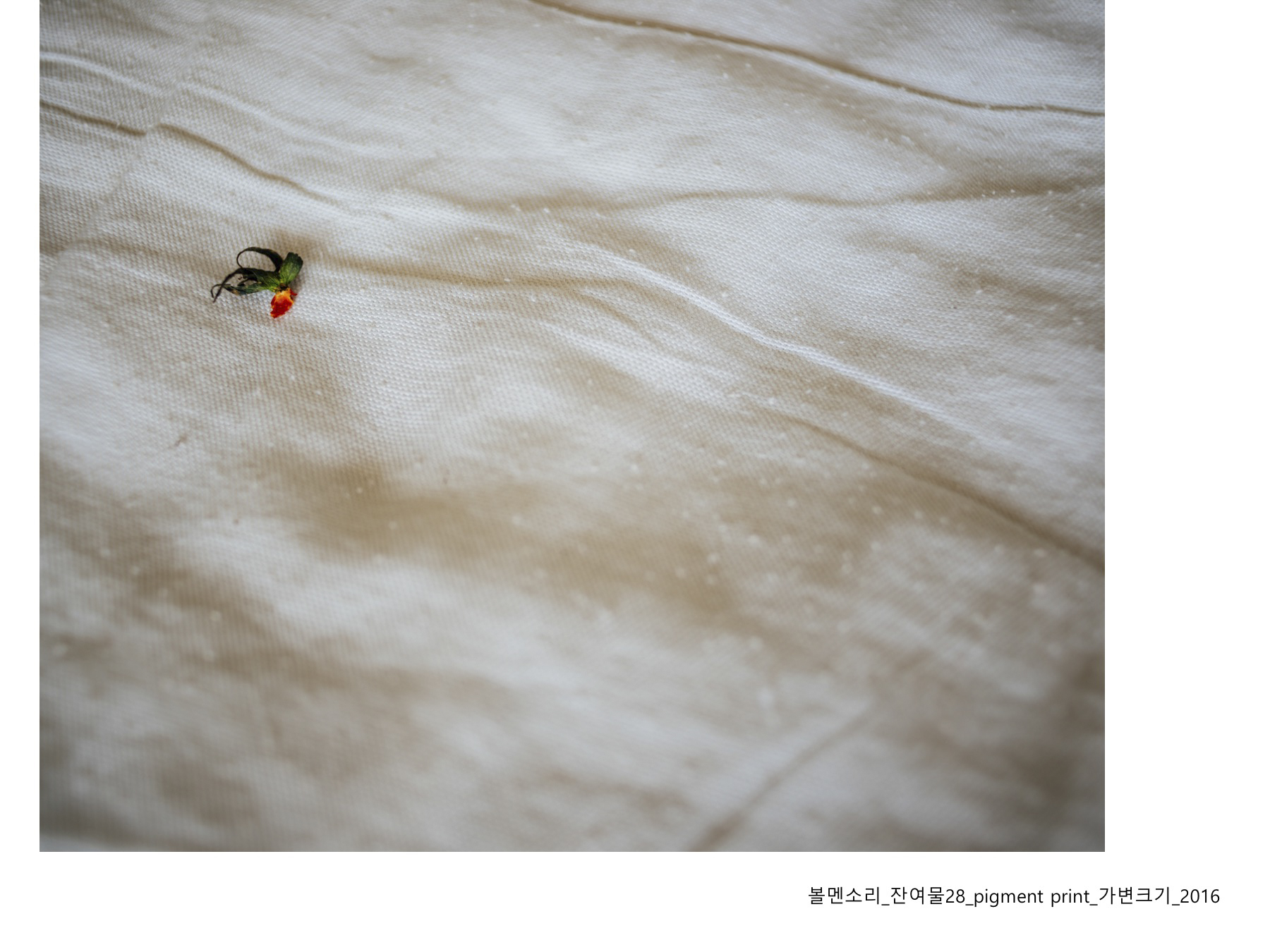 볼멘소리-36