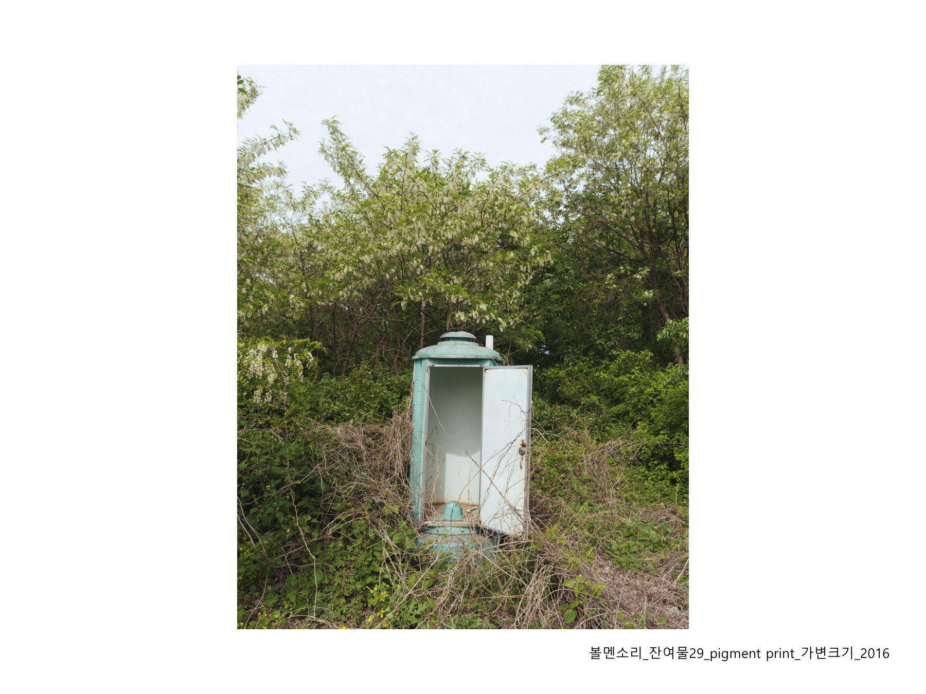 볼멘소리-37