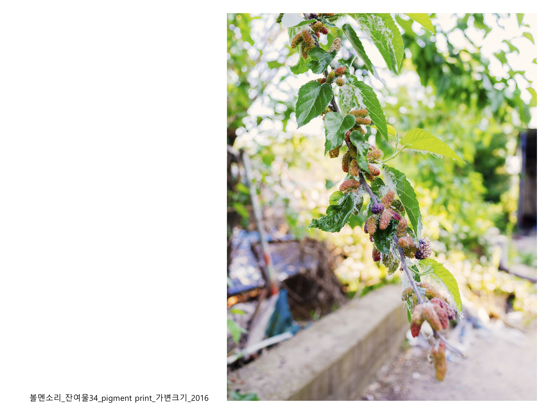 볼멘소리-42