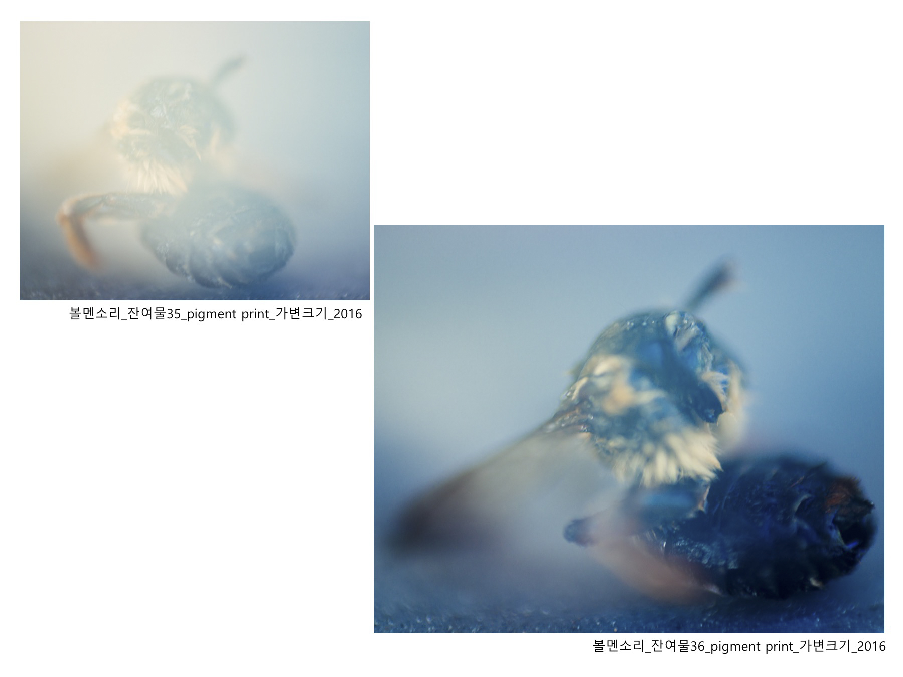 볼멘소리-43