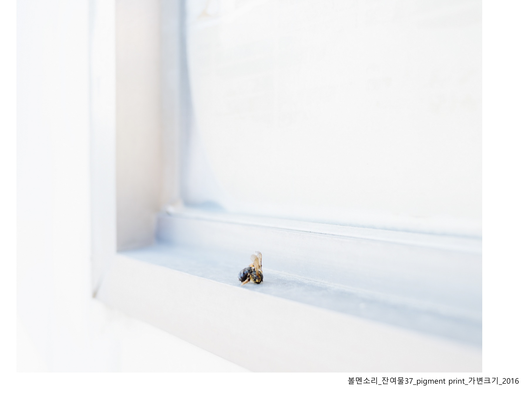 볼멘소리-44