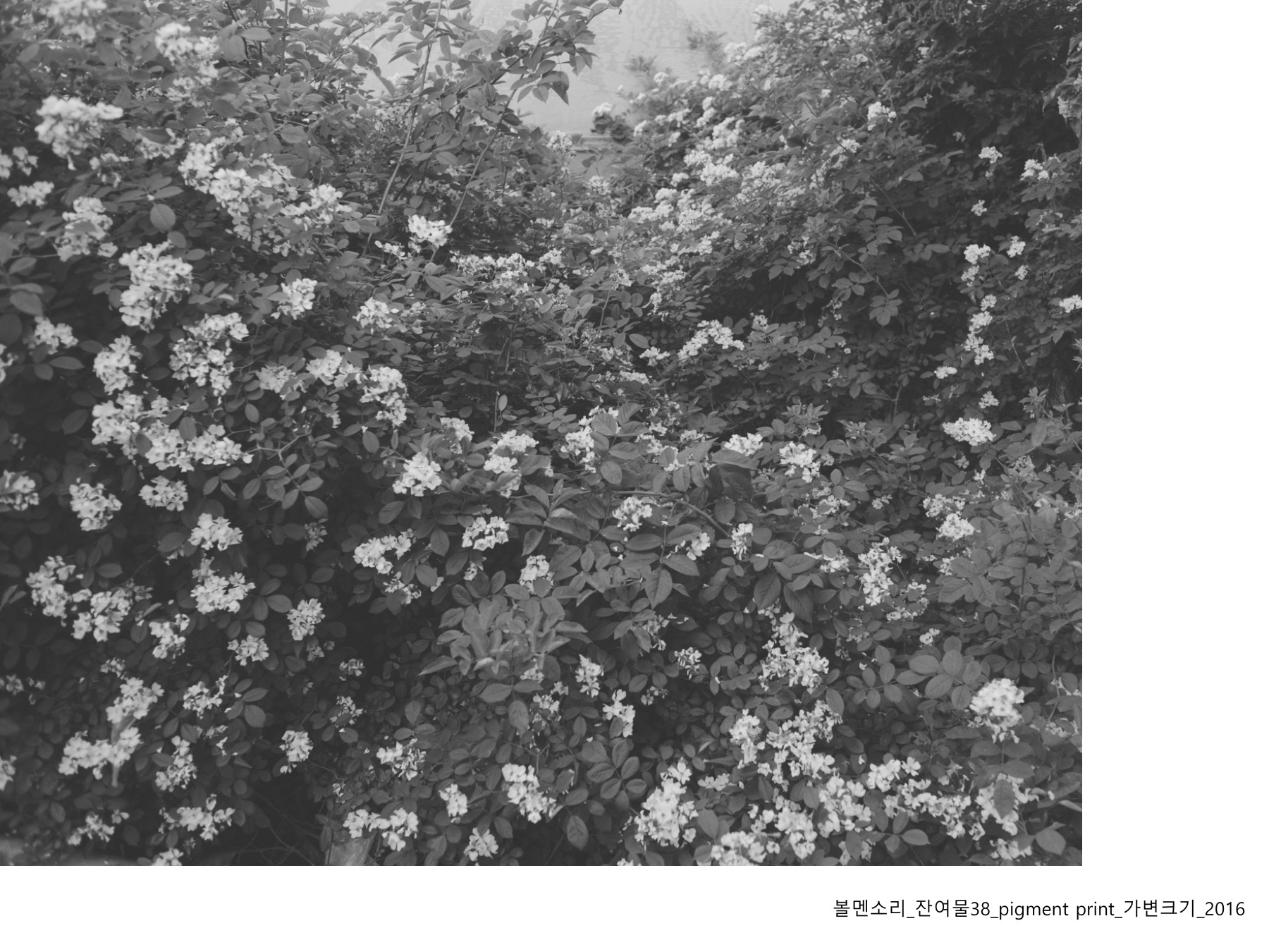 볼멘소리-45