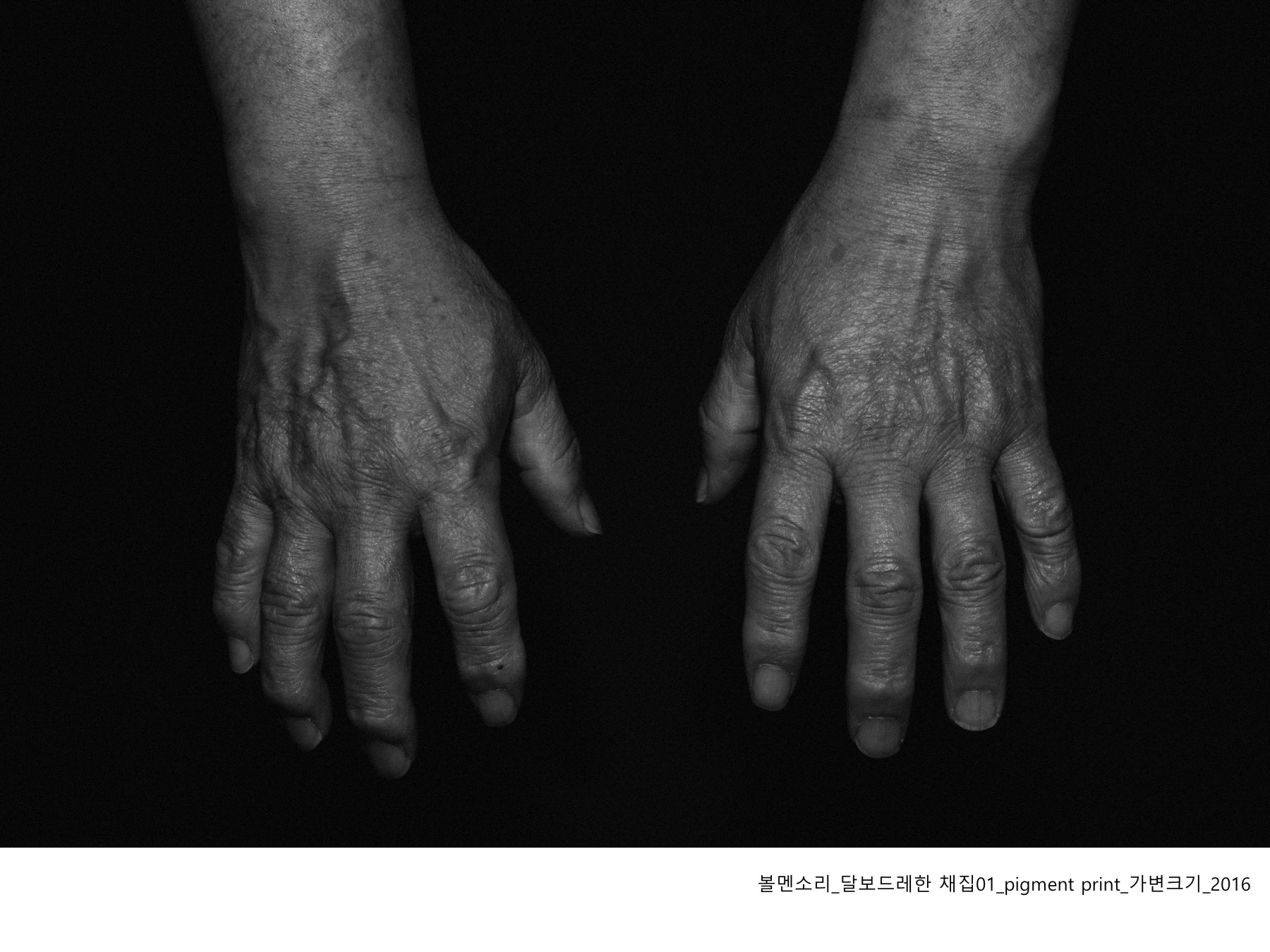 볼멘소리-73