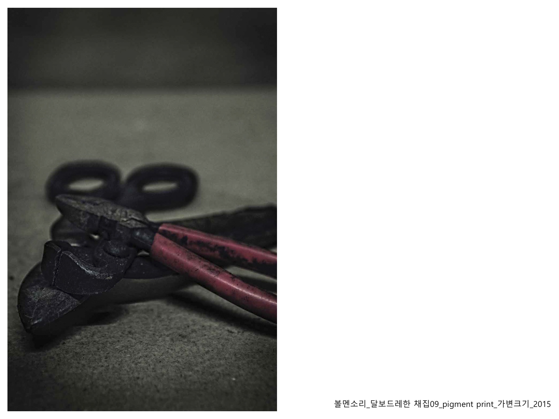 볼멘소리-81