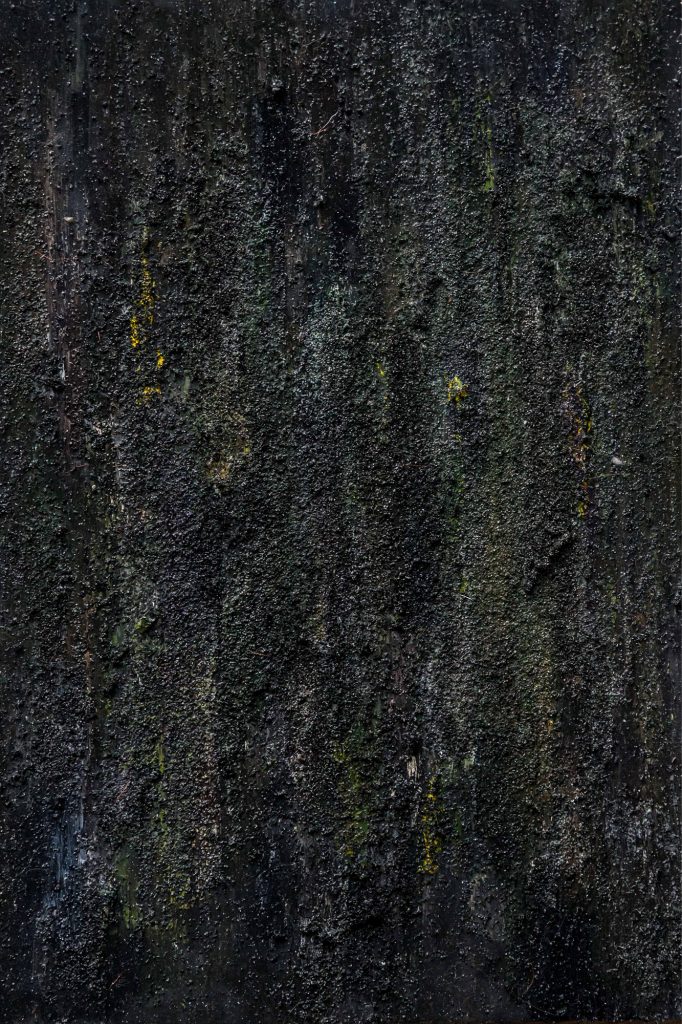 05-2 감정의색채_가변크기_Archival Pigment Print_2017