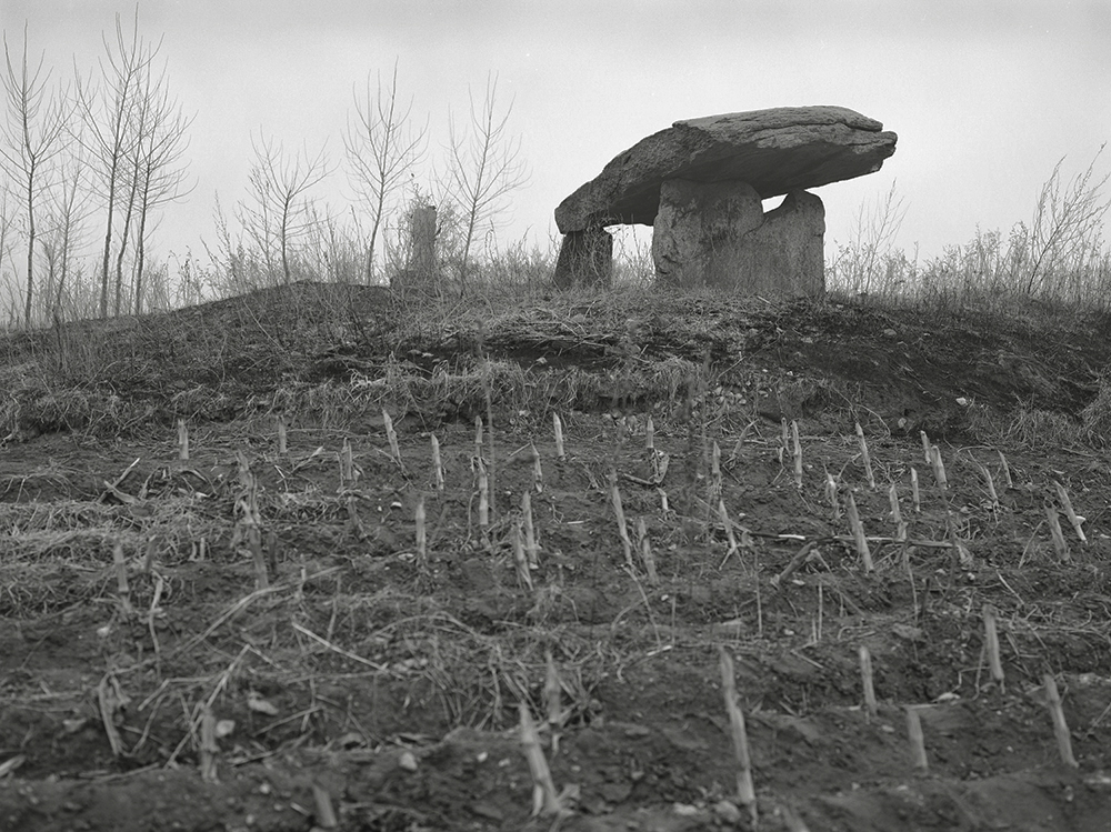 009-금현 소관둔