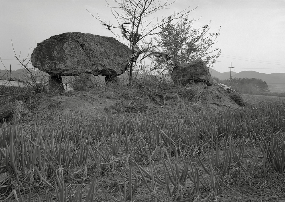 061-고창 해리면 신흥리 궁월마을