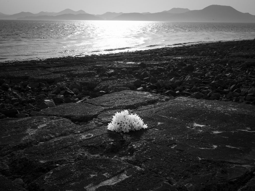 14연대 주둔지(비행장), Inkjet Print, 60x80cm, 2018