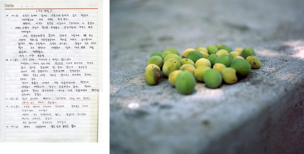 150g_Pigment Print_Dimension variable_2012