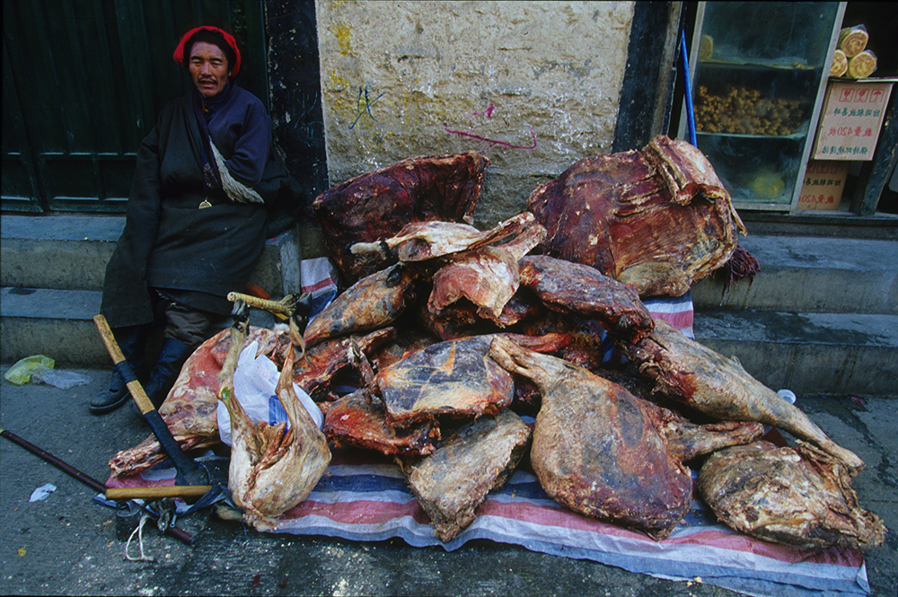 2004(인간의 먹이-04)