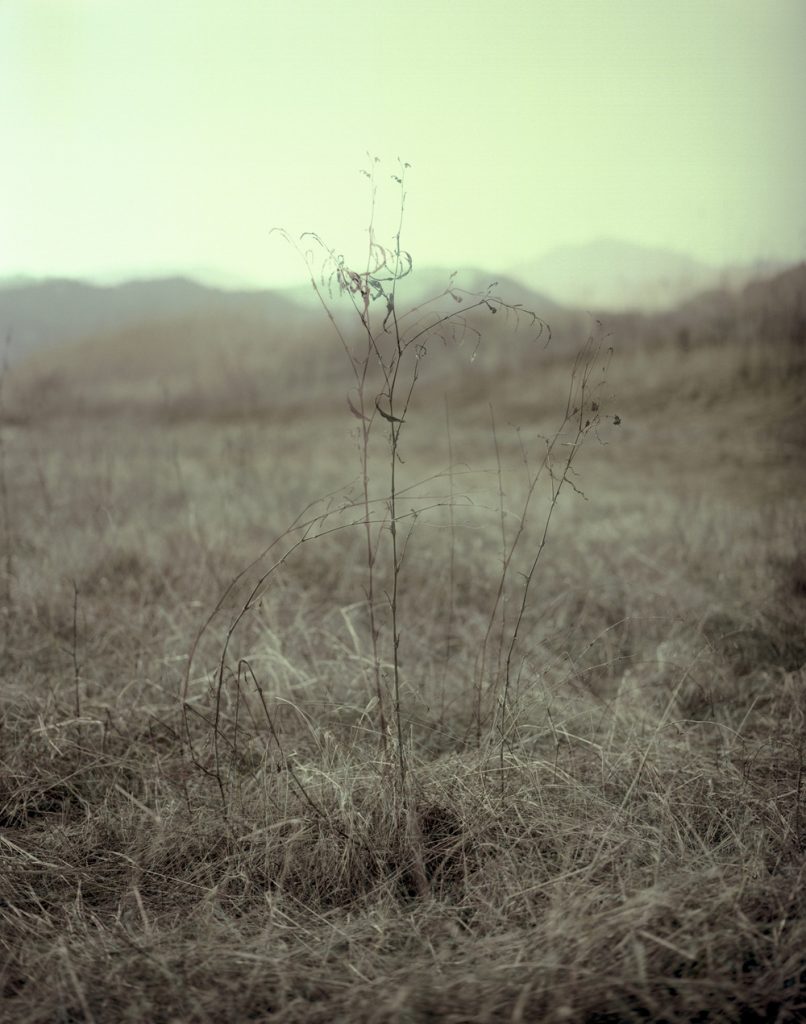 A Portrait 02_Pigment Print_ 80X100cm_2015-2016