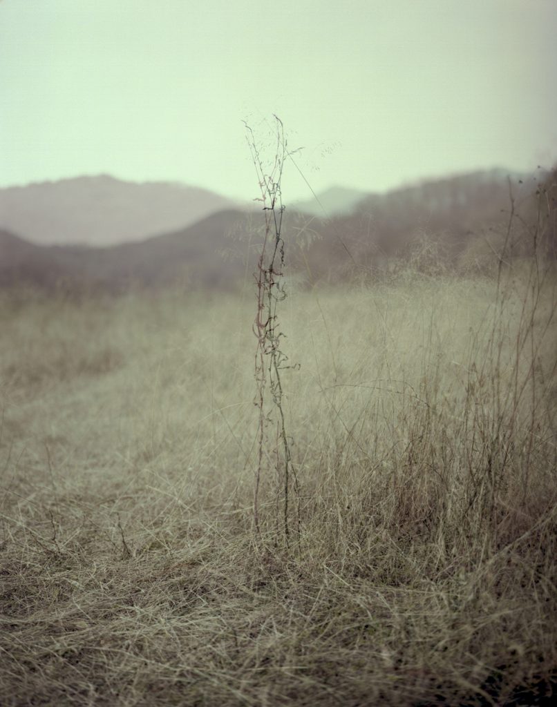 A Portrait 03_Pigment Print_ 80X100cm_2015-2016