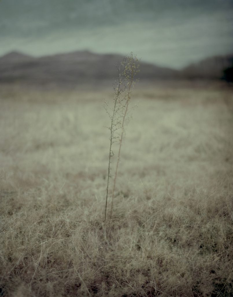 A Portrait 04_Pigment Print_ 80X100cm_2015-2016