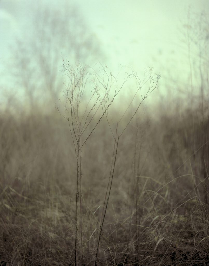 A Portrait 05_Pigment Print_ 40X50cm_2015-2016