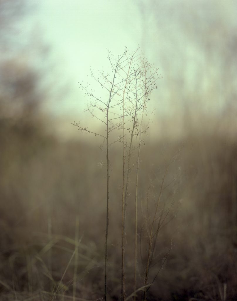 A Portrait 06_Pigment Print_ 40X50cm_2015-2016