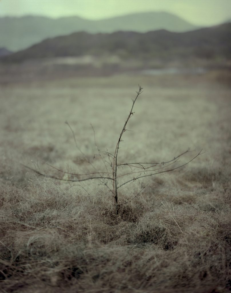 A Portrait 07_Pigment Print_ 80X100cm_2015-2016