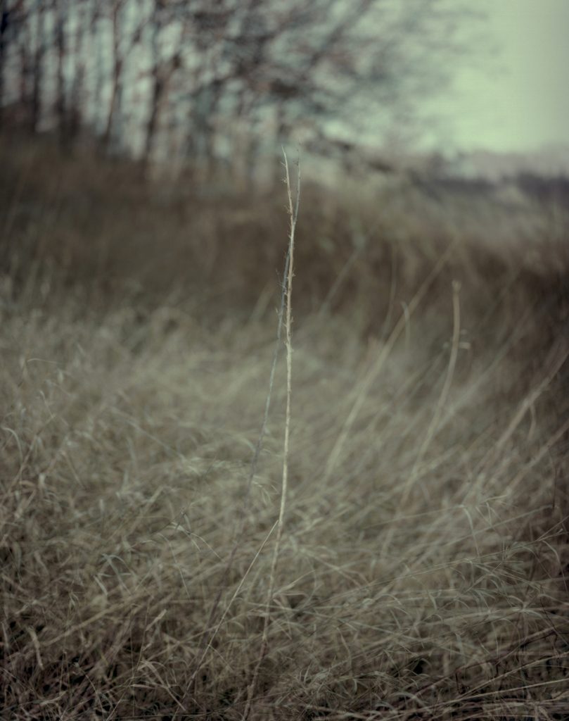 A Portrait 08_Pigment Print_ 80X100cm_2015-2016