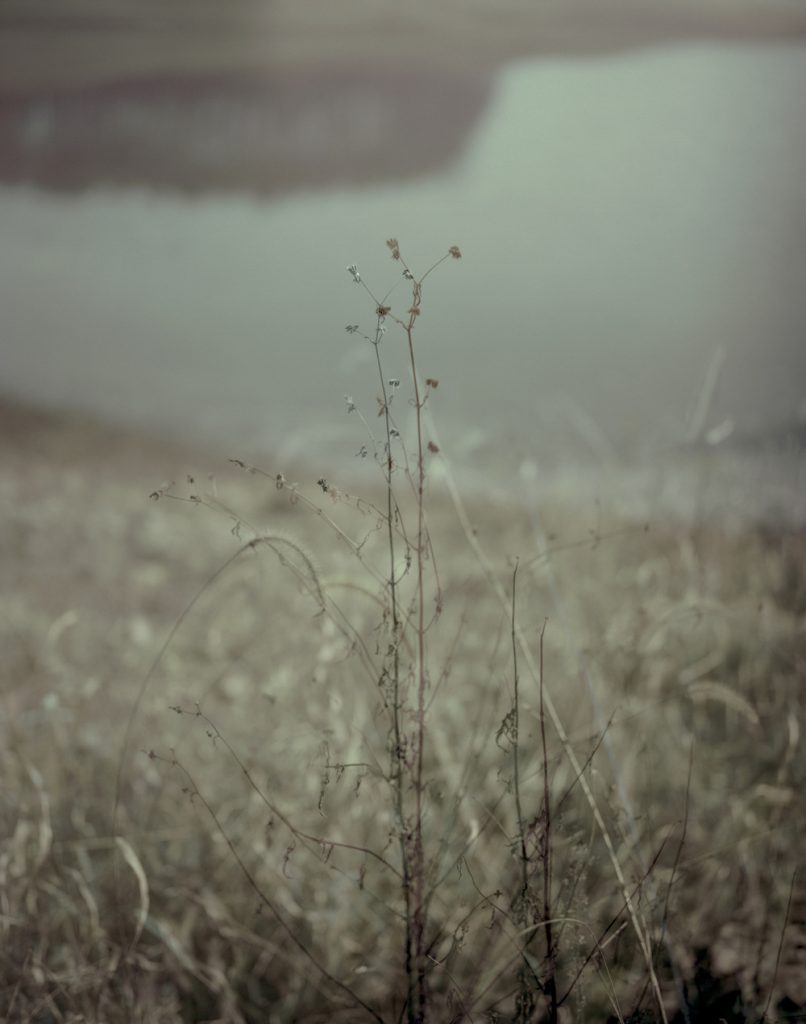 A Portrait 09_Pigment Print_ 80X100cm_2015-2016