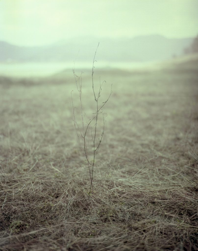 A Portrait 10_Pigment Print_ 80X100cm_2015-2016