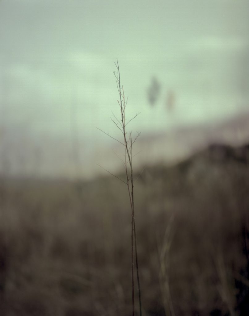 A Portrait 12_Pigment Print_ 40X50cm_2015-2016