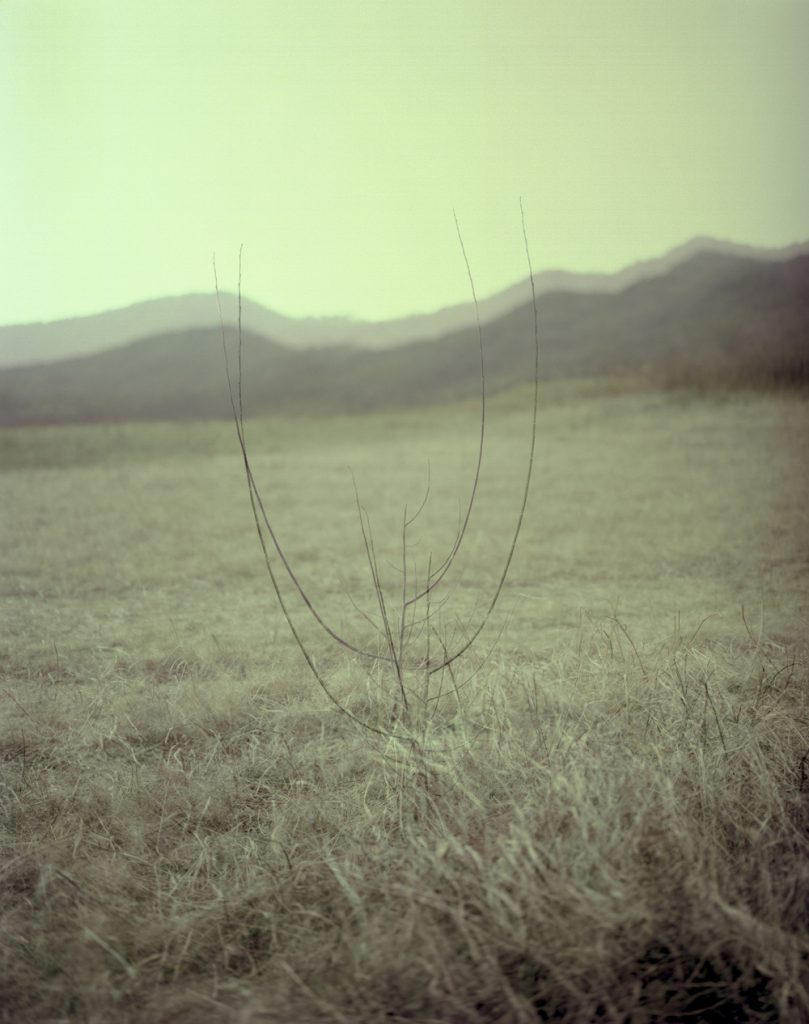 A Portrait 14_Pigment Print_ 80X100cm_2015-2016