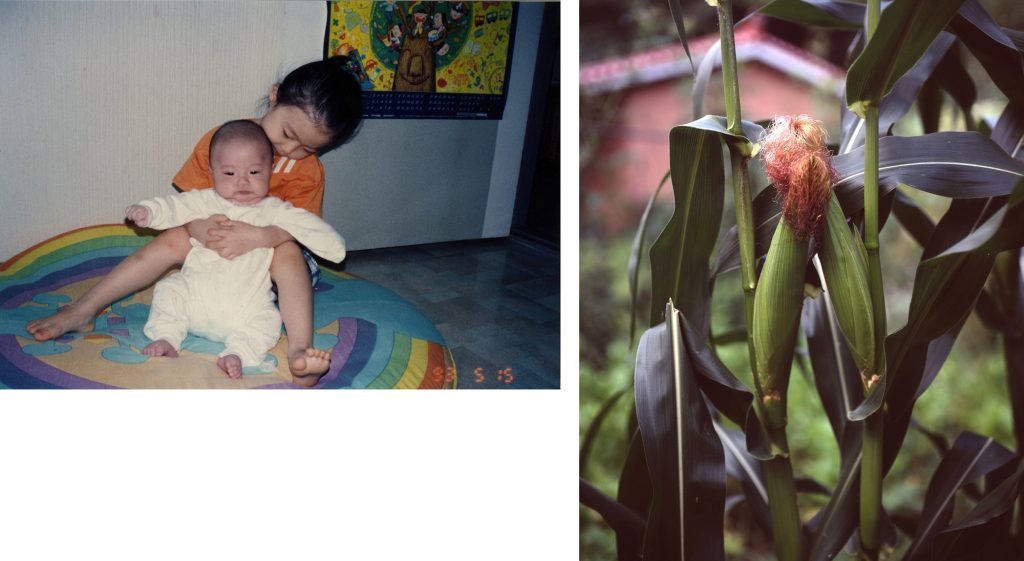 Brother&Me_Pigment Print_Dimension variable_2012