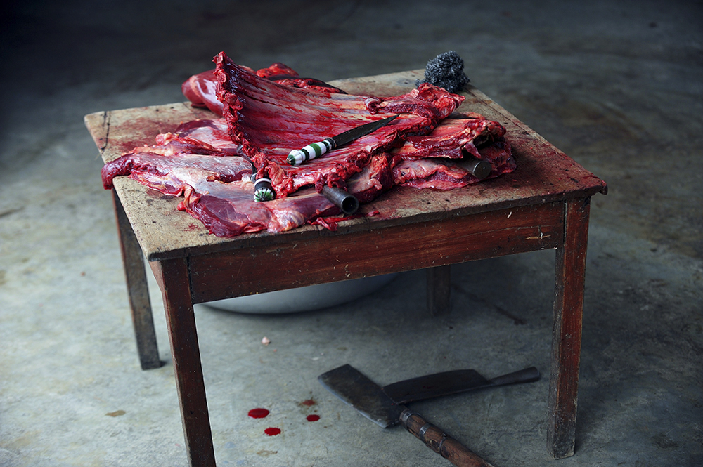 DSC_6279(인간의 먹이-02)