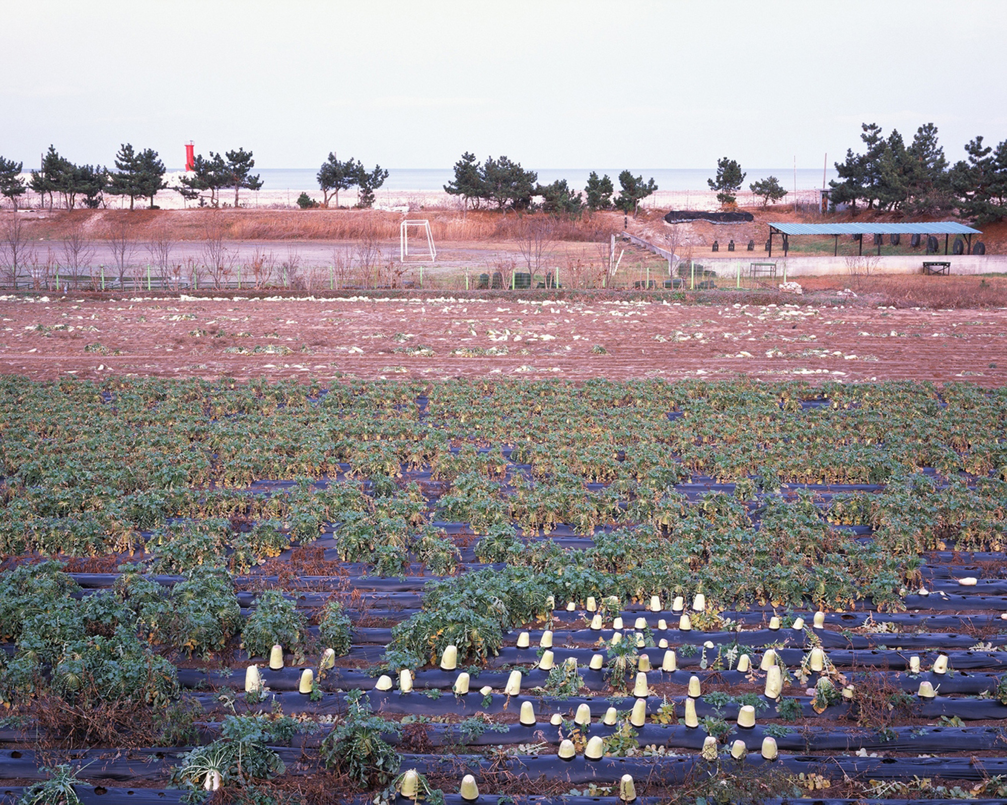 Neutral Ground #5, C-print,   100x125cm, 2013