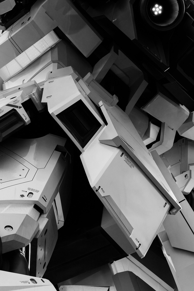 SD16DM2CFP.JP-135_0204_RX-0UC, archival pigment print, 177.0x117.9cm, 2018