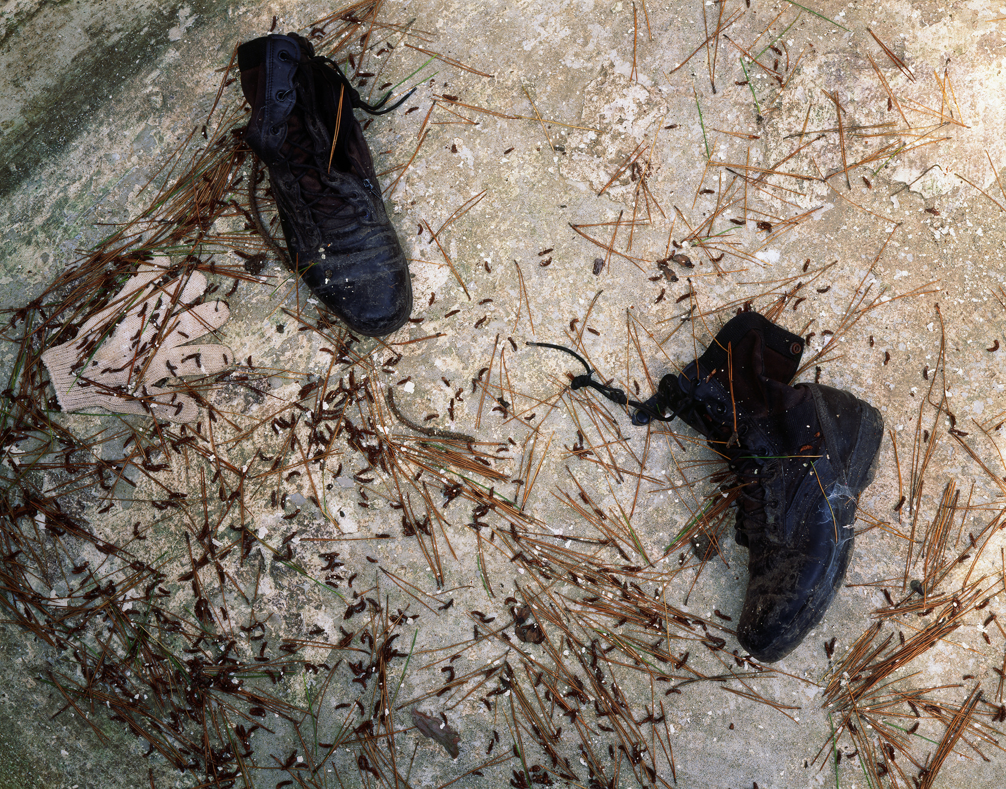 The Stuff #2, 66x80cm, C-print, 2012