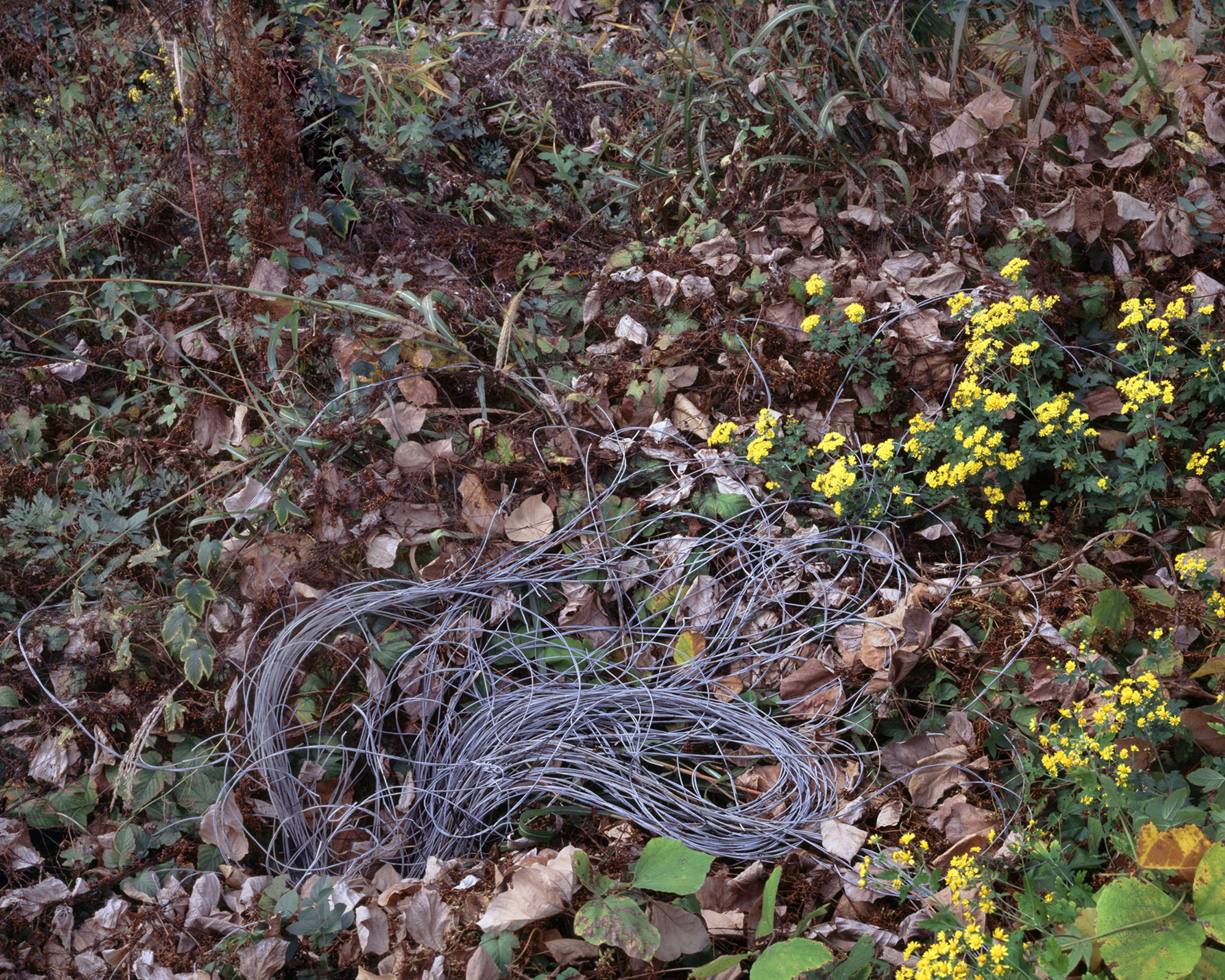 The Stuff #8, C-print, 66x80cm, 2014