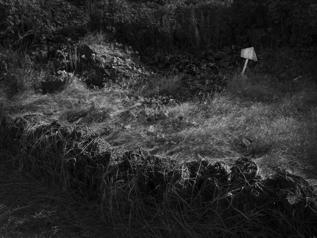 마당궤, Inkjet Print, 60x80cm, 2017