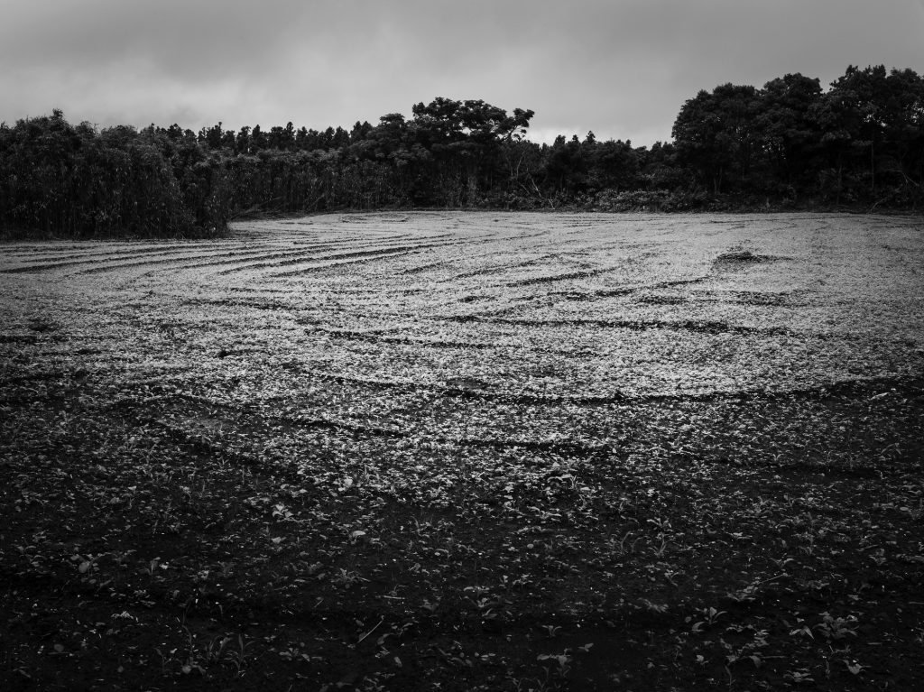 무등이왓 학살터, Inkjet Print, 60x80cm, 2017