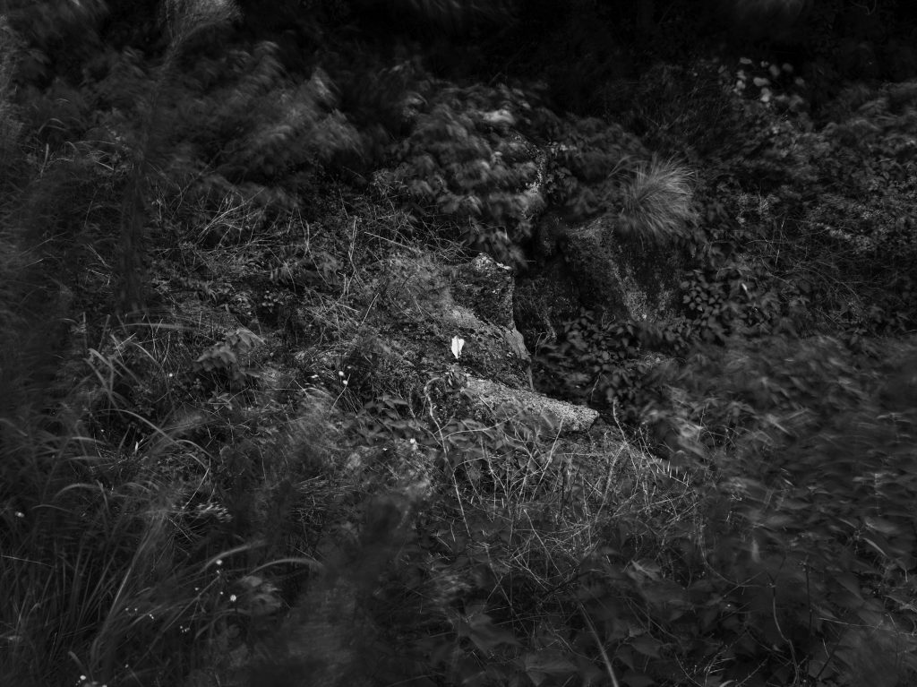 빌레못굴, Inkjet Print, 60x80cm, 2017