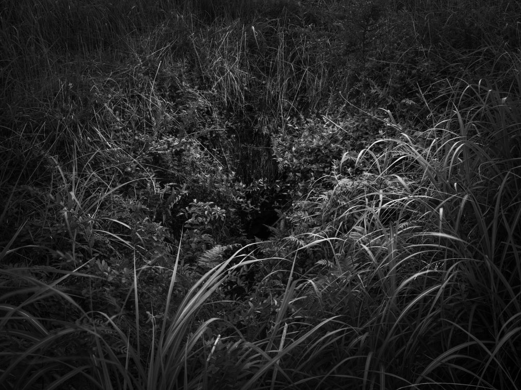 진지동굴 (금오름), Inkjet Print, 60x80cm, 2017