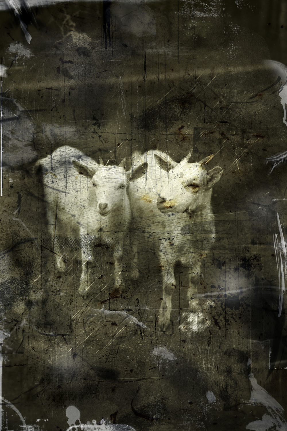 Adjustment mechanism#10,pigment print,50.8x60.96cm,2012