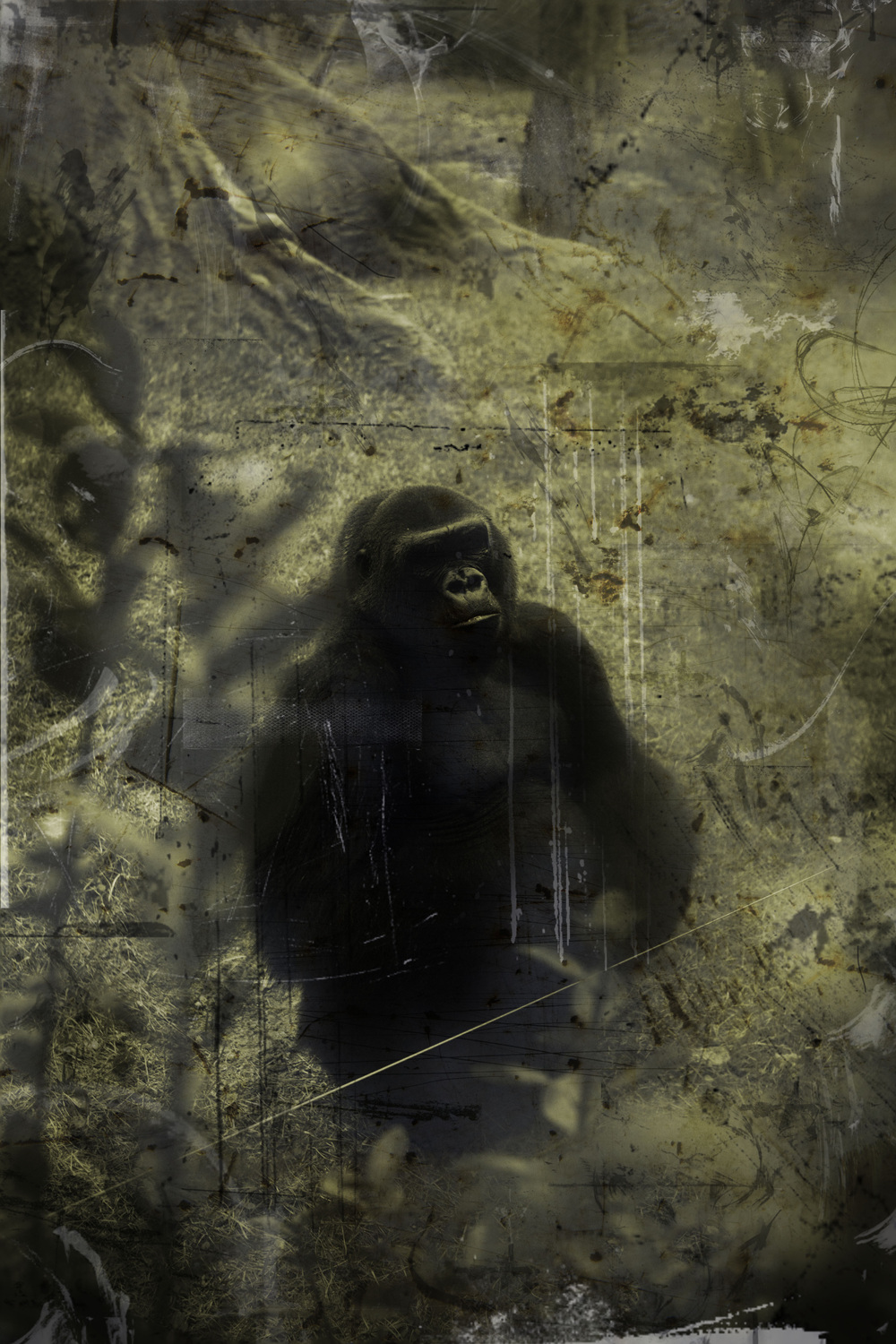 Adjustment mechanism#1,pigment print,50.8x60.96cm,2012