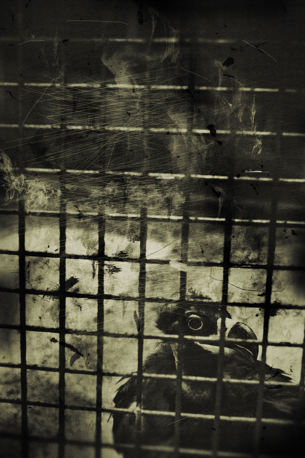 Adjustment mechanism#3,pigment print,50.8x60.96cm,2012