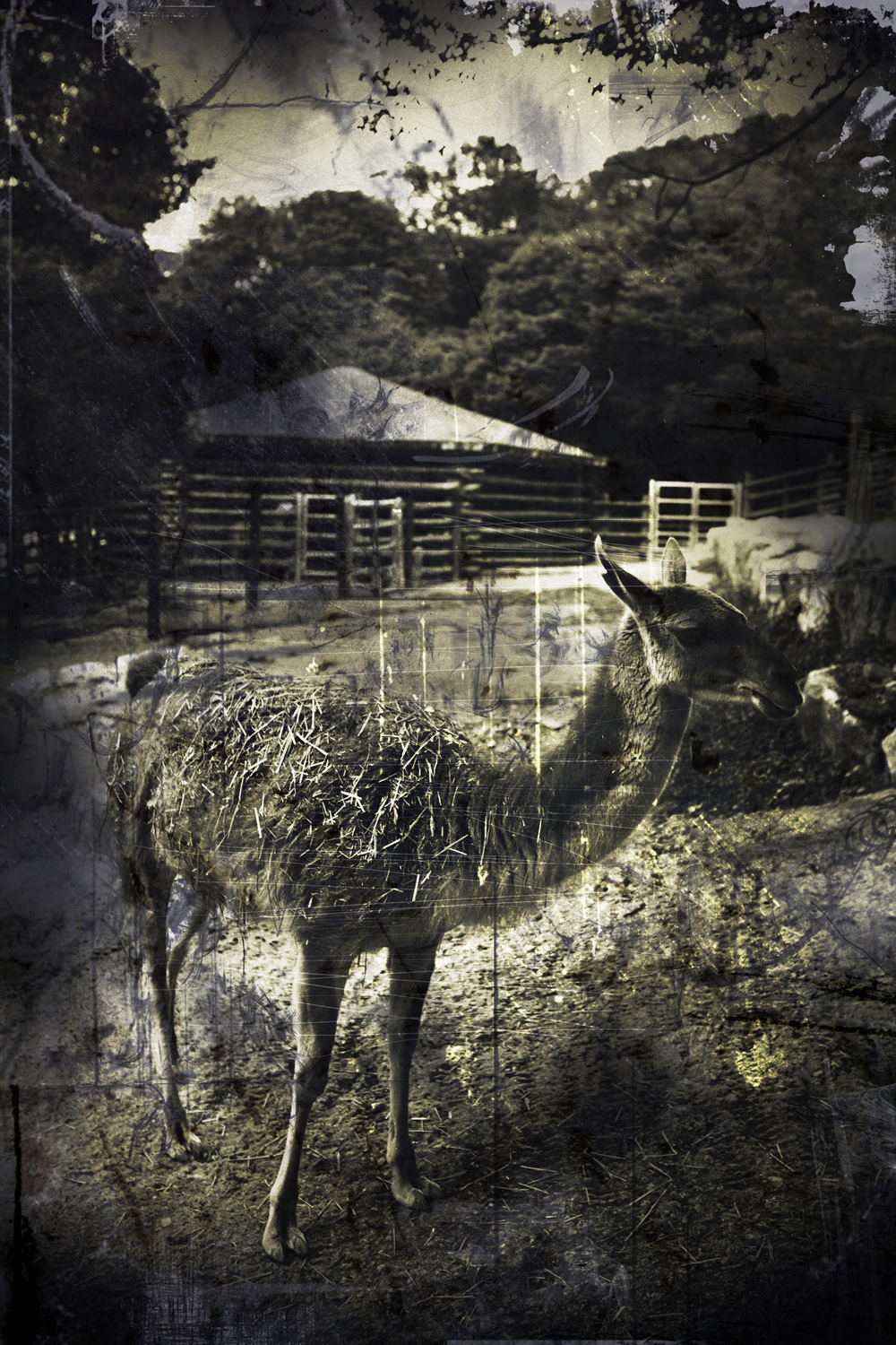 Adjustment mechanism#4,pigment print,50.8x60.96cm,2012