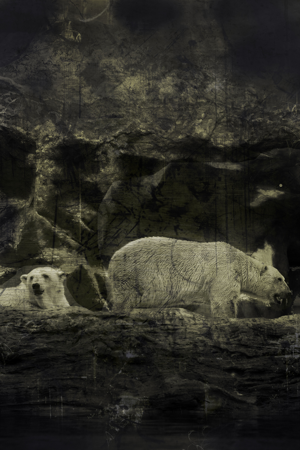 Adjustment mechanism#5,pigment print,50.8x60.96cm,2012