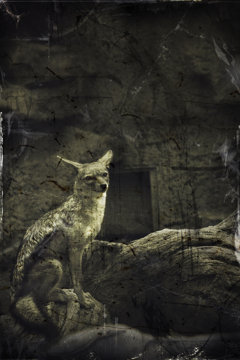 Adjustment mechanism#6,pigment print,50.8x60.96cm,2012